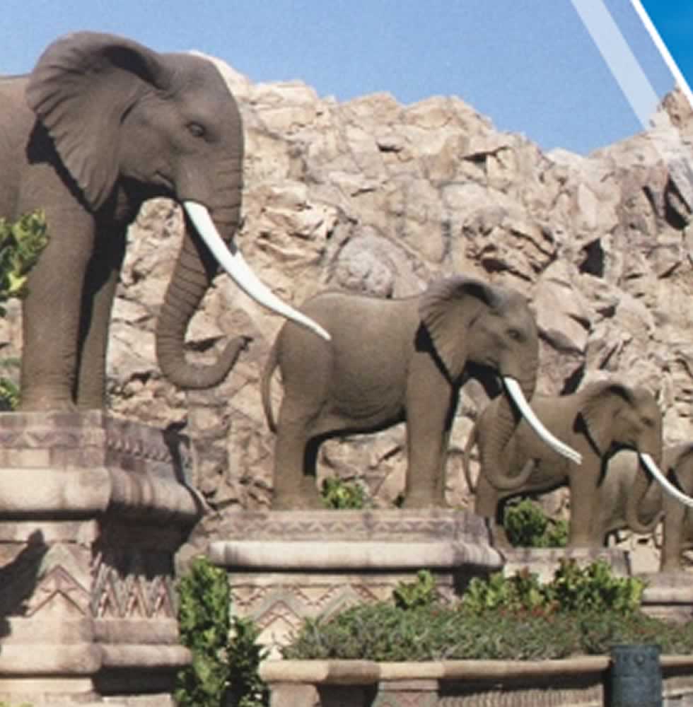 RNS delivers Sun City an upgraded DAS